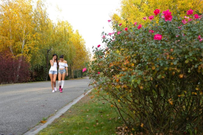 Hot babes make lesbian sex after a walk in the flowers' garden photo 1